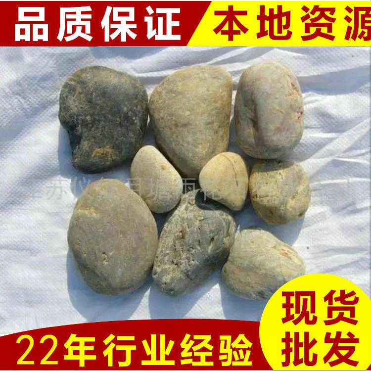 鵝卵石多少錢一噸 鵝卵石批量銷售 廠家直銷價 詢月塘鵝卵石廠